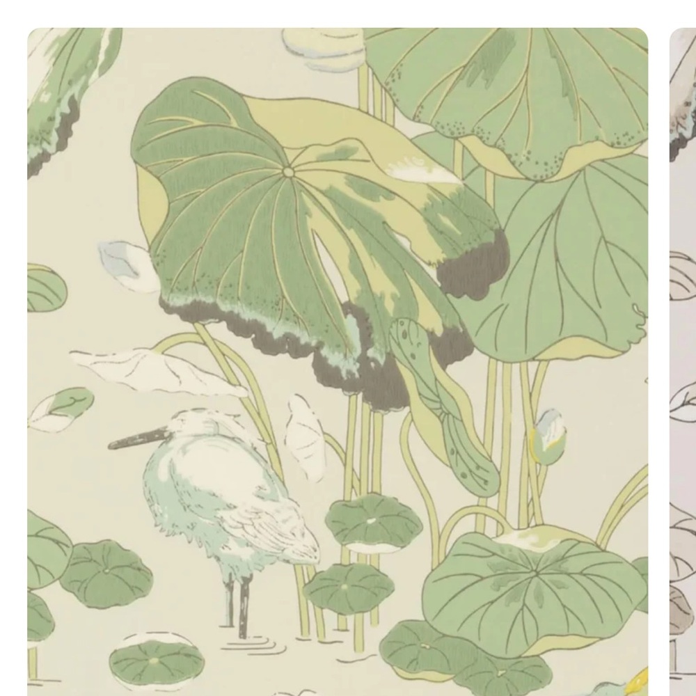 G P and J Baker nypheus wallpaper